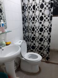 Blk 289 Bishan Heights (Bishan), HDB 4 Rooms #630920681